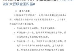 VAR判罚再引争议，本泽马对阵多特蒙德裁判判点引发巨大争议的简单介绍